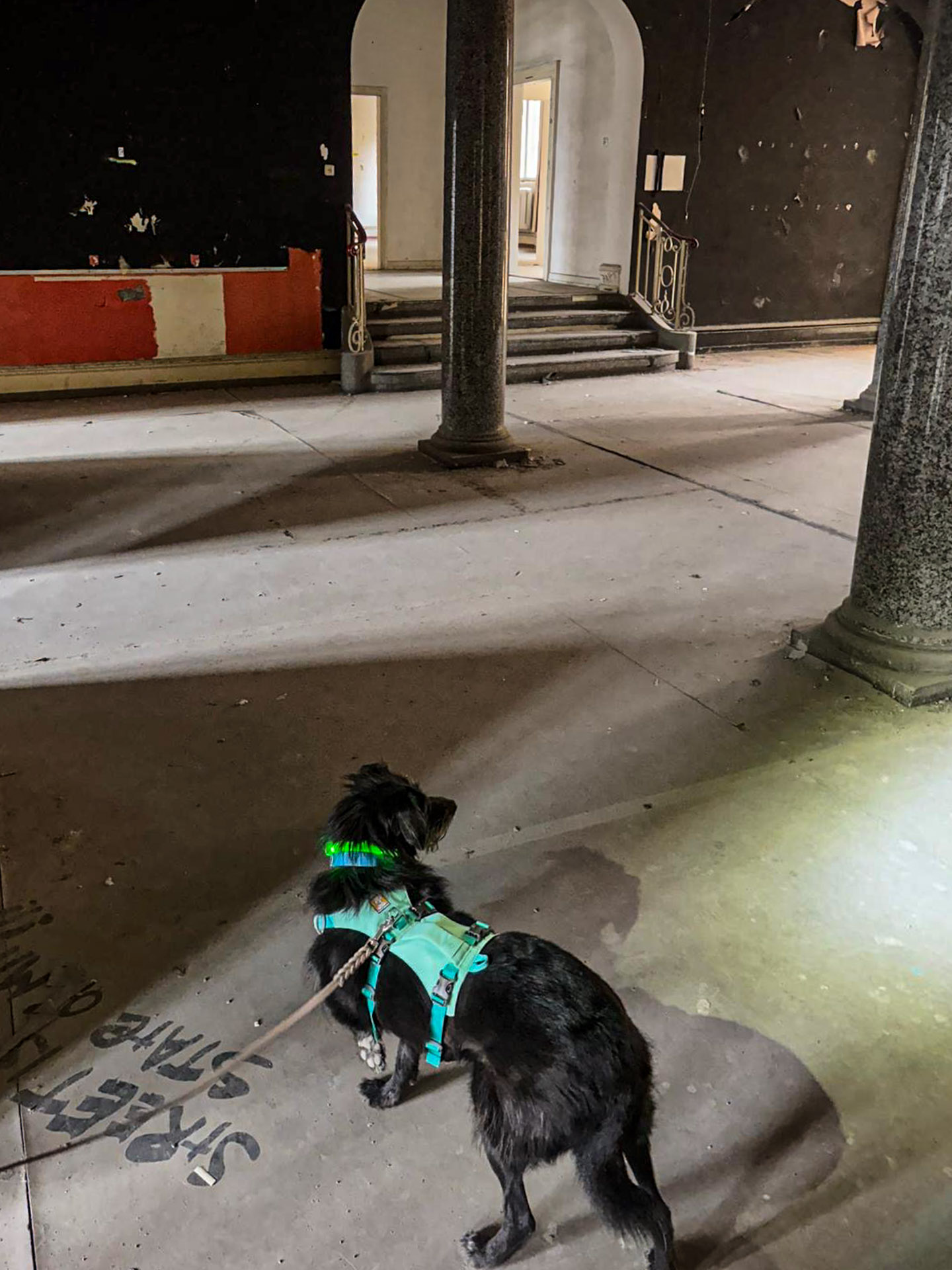 Sheena in einer riesigen Säulenhalle