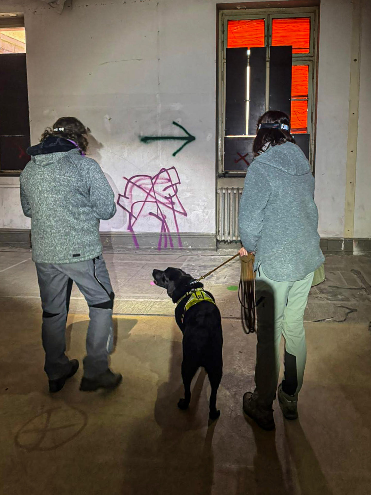 Trainerin Tanja links führt ein anderes Suchteam