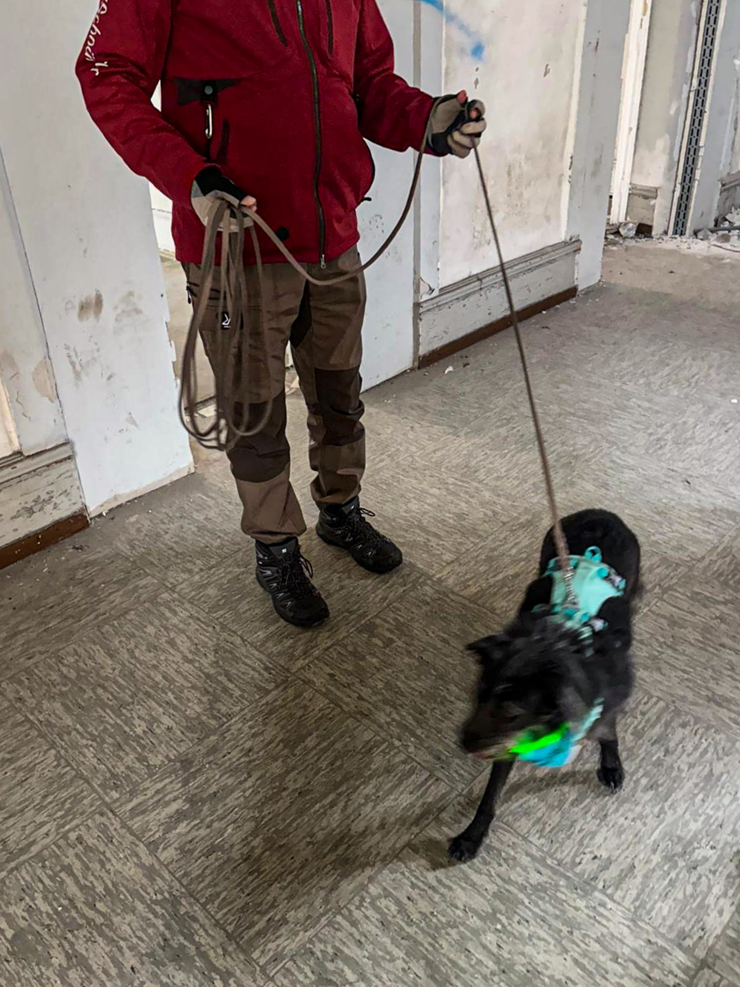 Sheena dreht sich kurz um