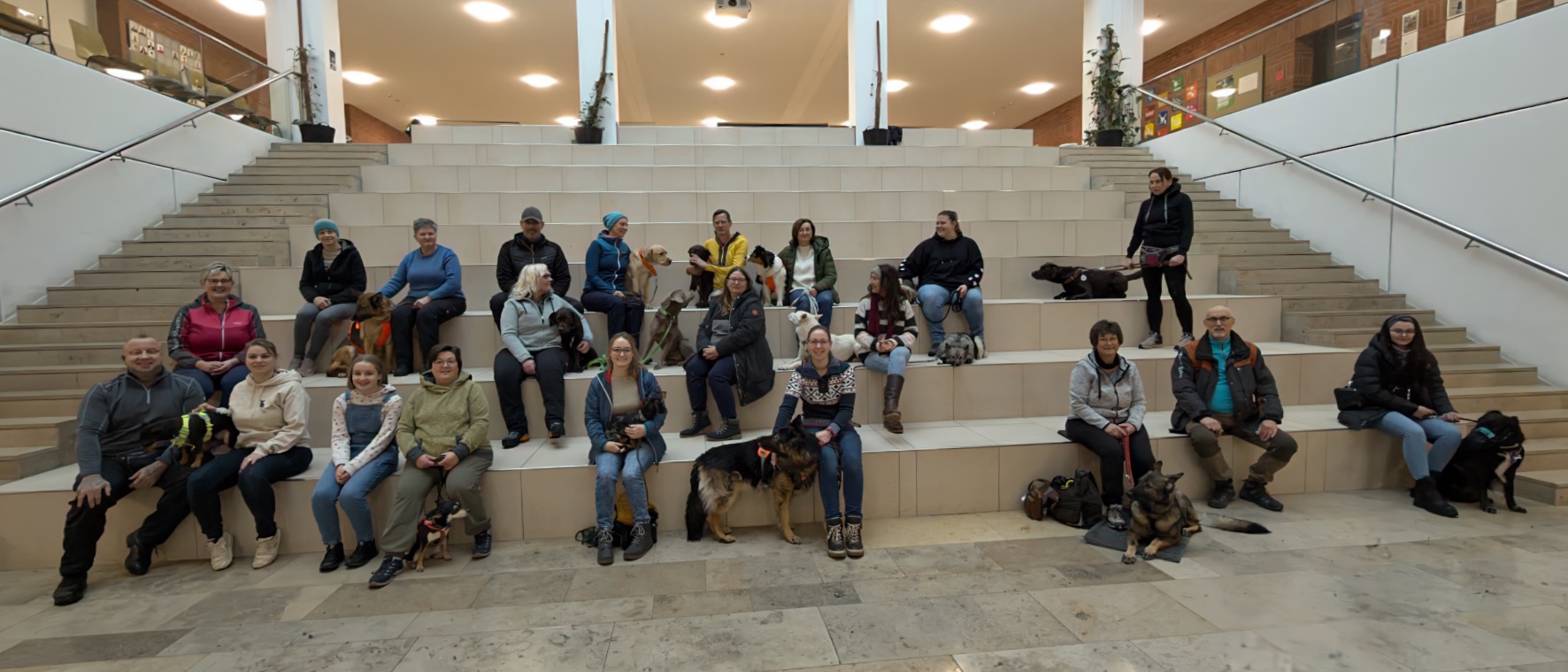 Gruppenbild mit Hunden