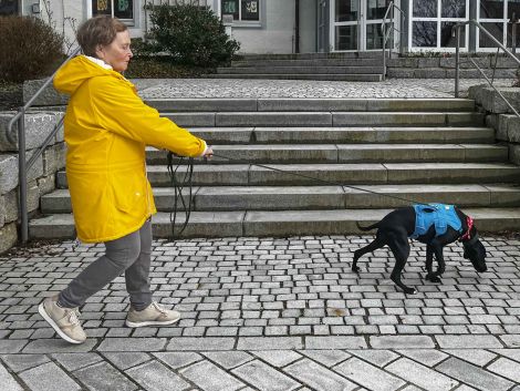 WoidSchnüffler® Mantrailerin Gabi mit Suchhund Elma