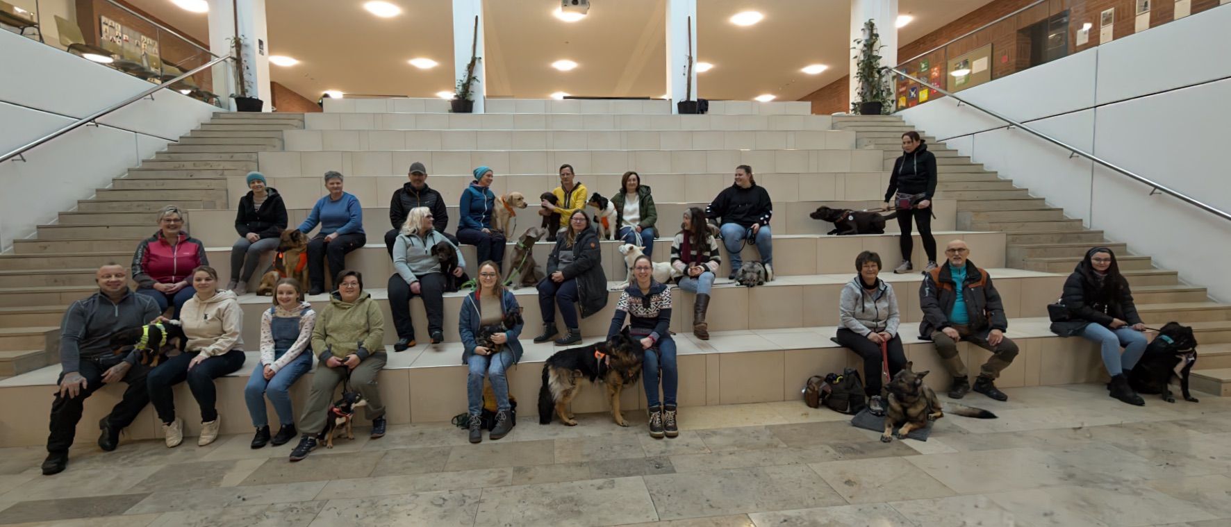 Gruppenbild mit Hunden