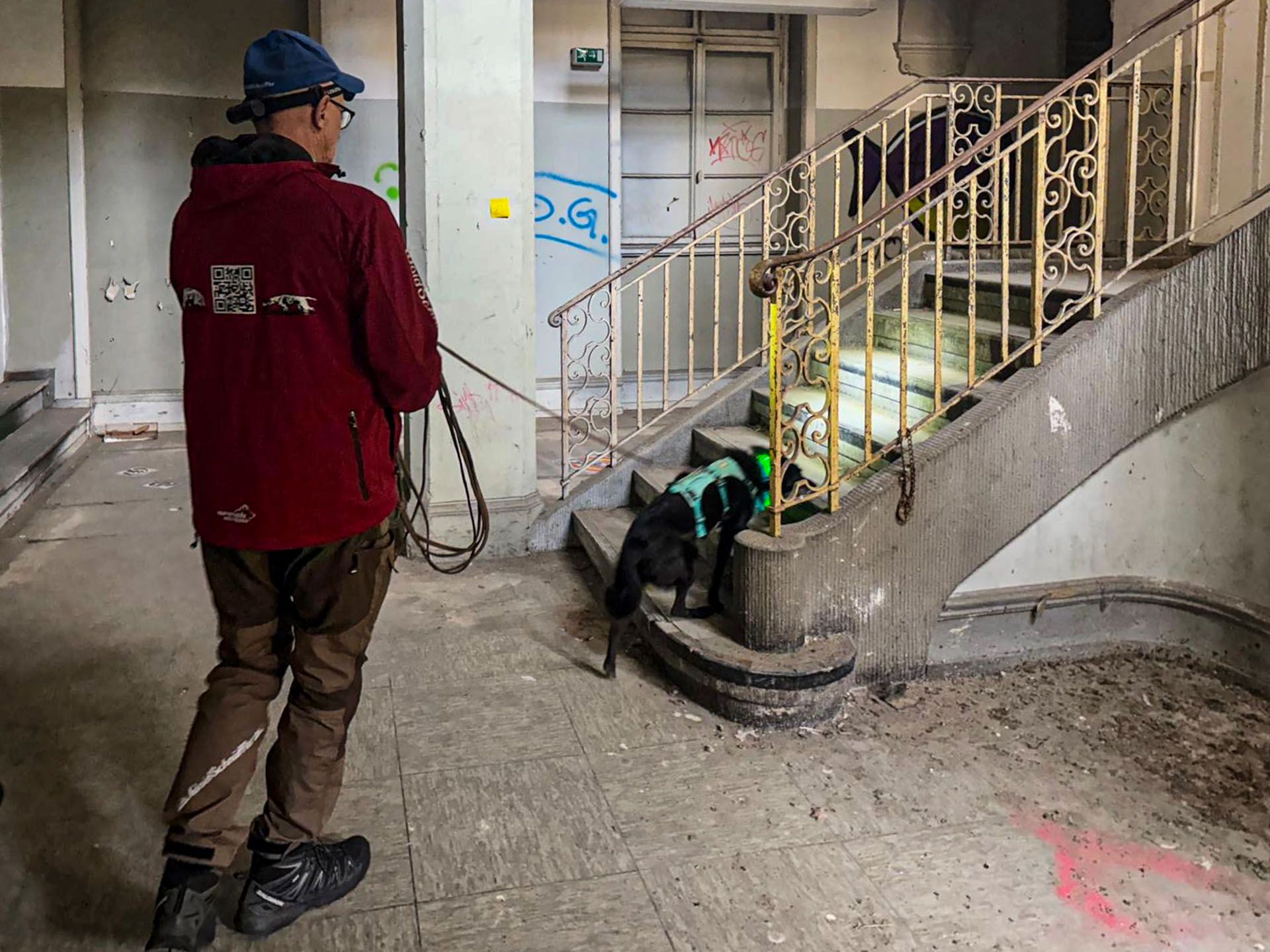 Sheenar trailt die ersten Stufen einer Treppe