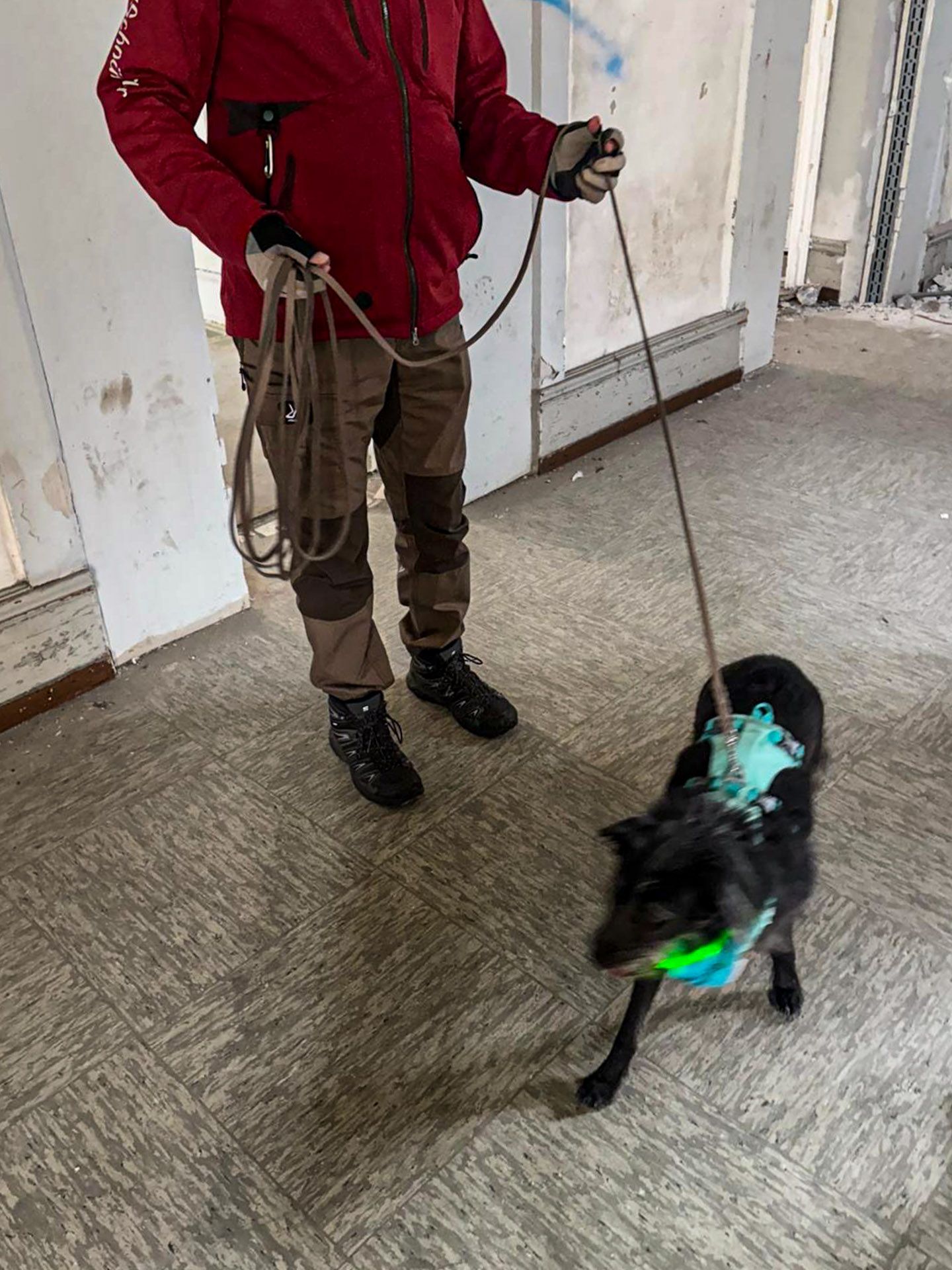 Sheena dreht sich kurz um