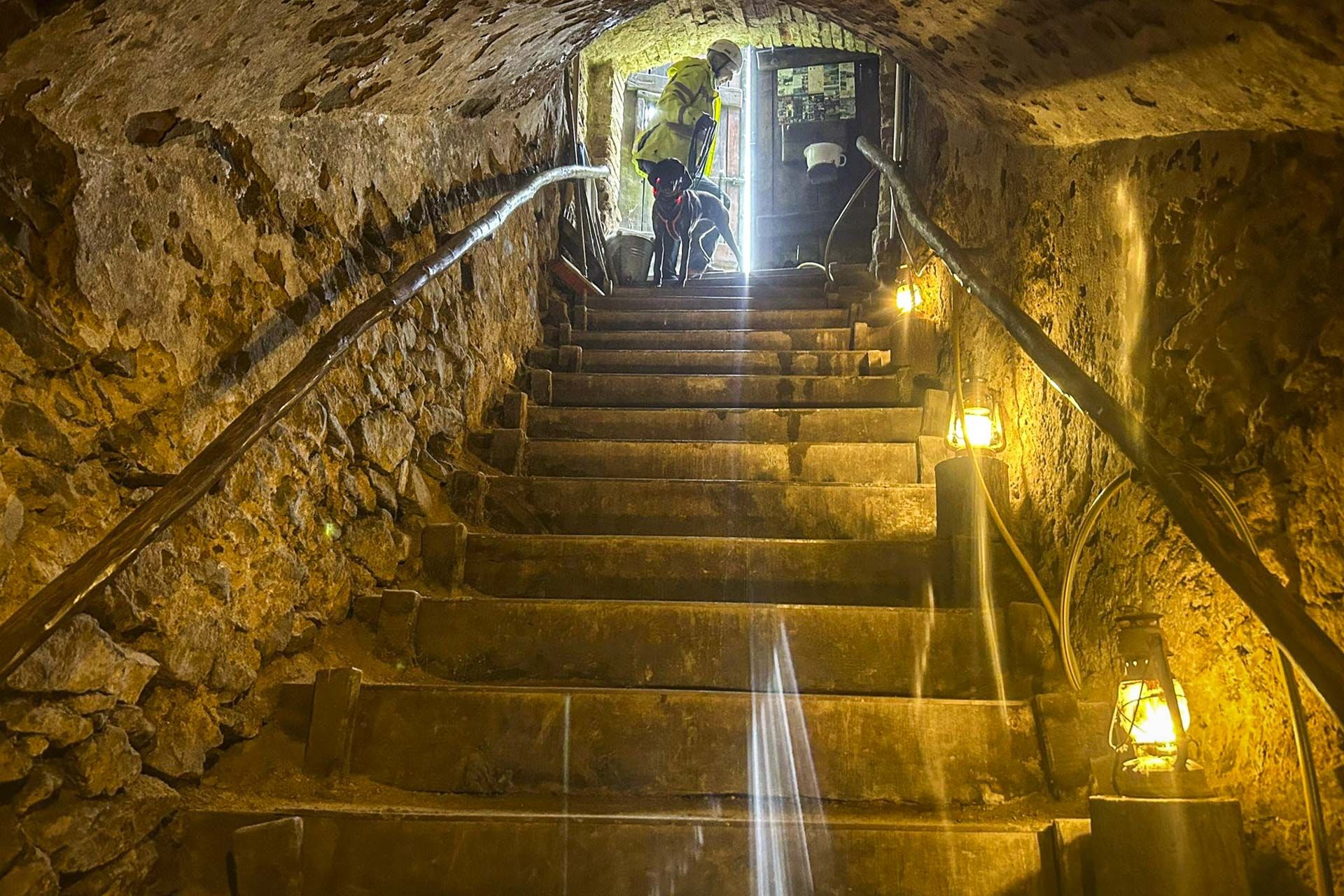 Das Mantrailing-Team betritt die Felsengänge über die Treppe hinunter. Diffuses Licht