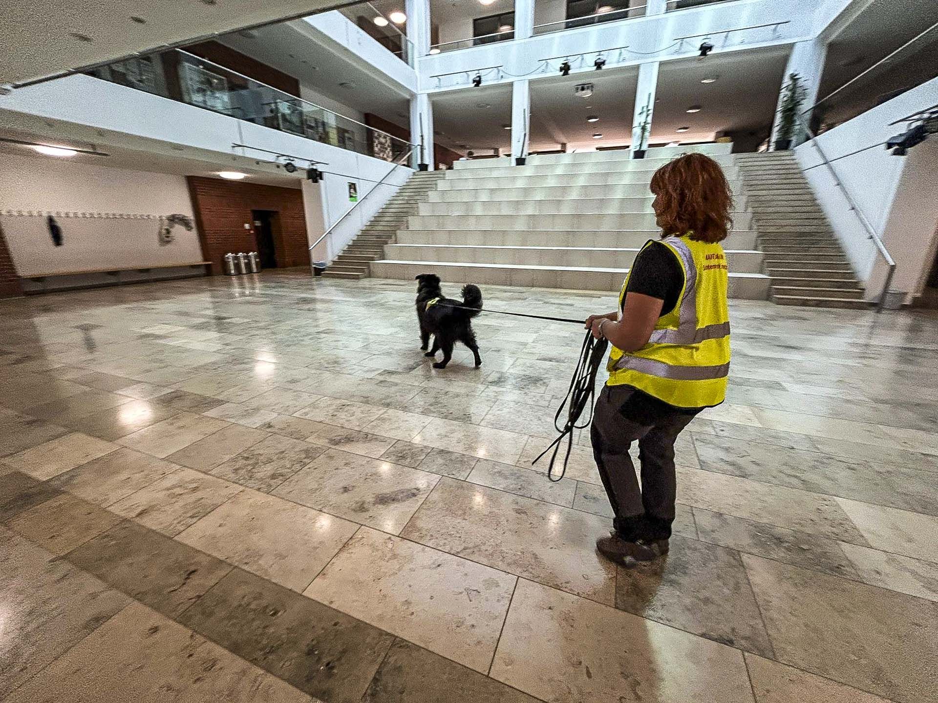 Hund Nano trailt mit Tanja in der Aula